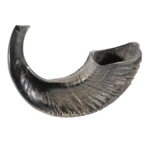 Ram's Horn Shofar