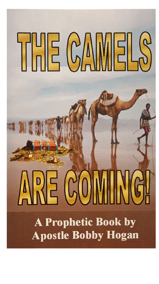 The Camels Are Coming!